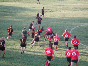 rugby